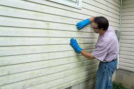 Best Custom Trim and Detailing for Siding  in Big Spring, TX